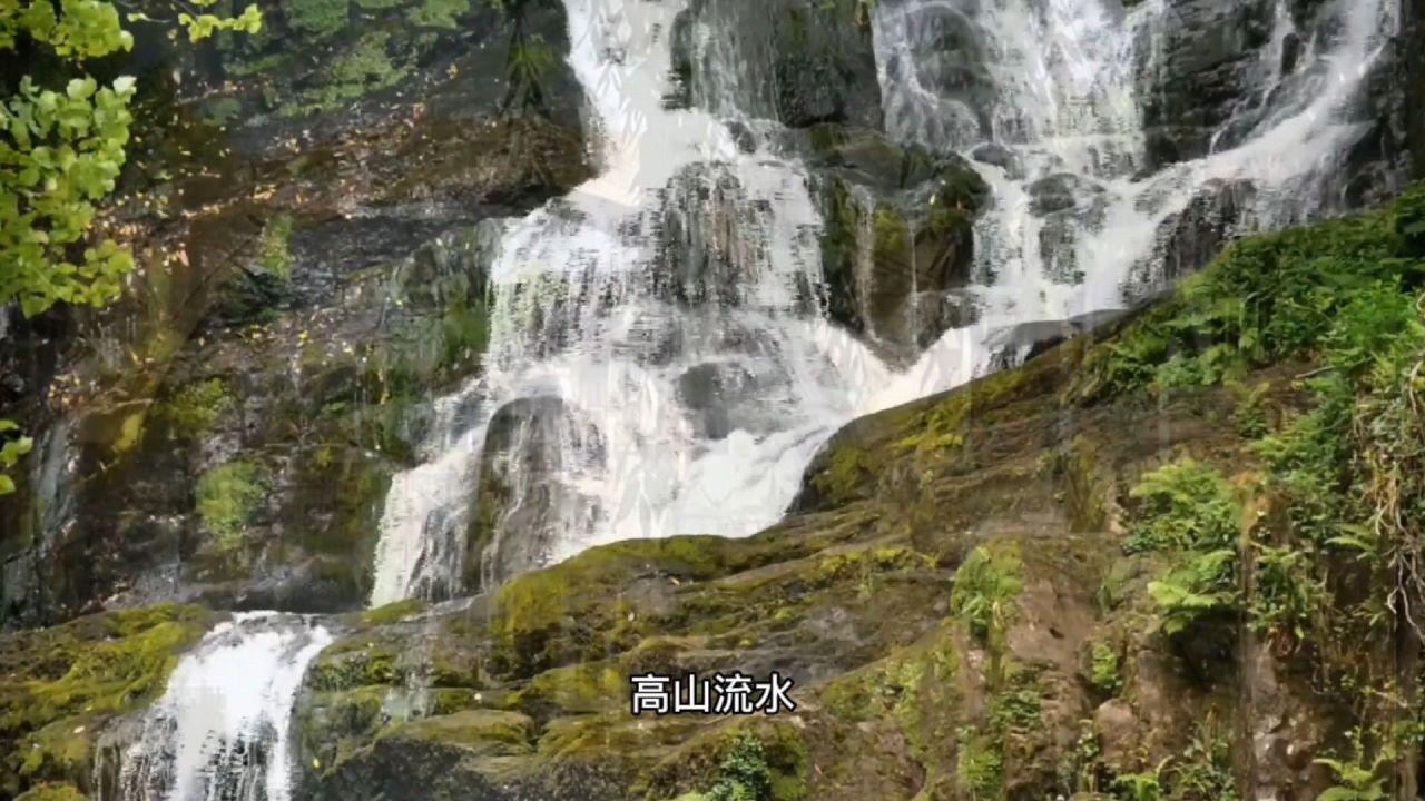 惠来这两人，无证驾驶，无戴头盔被抓...